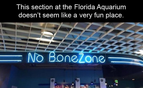dirty pic quotes - This section at the Florida Aquarium doesn't seem a very fun place. No Bone Zone