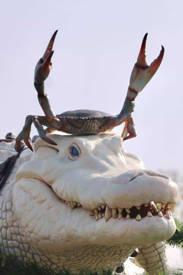 work meme of a crab sitting on an albino alligator's head