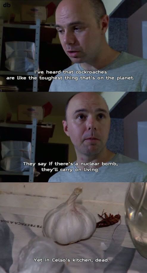 showerthoughts   - idiot abroad funny - db I've heard that cockroaches are the toughest thing that's on the planet. They say if there's a nuclear bomb, they'll carry on Living. vas v vovi. Yet in Celso's kitchen, dead.