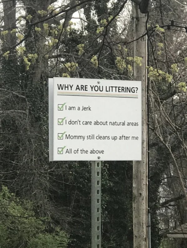 reddit chattanooga meme - Why Are You Littering? I am a Jerk I don't care about natural areas Mommy still cleans up after me All of the above