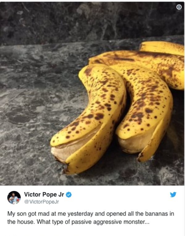 passive aggressive toddler - Victor Pope Jr Poper My son got mad at me yesterday and opened all the bananas in the house. What type of passive aggressive monster...