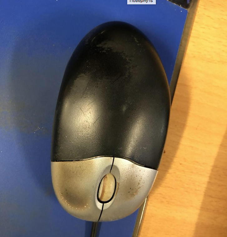 This mouse