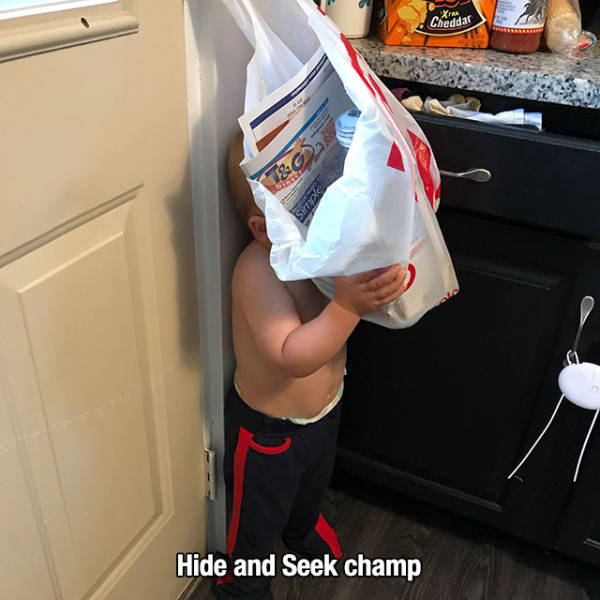 muscle - Cheddar & Hide and Seek champ