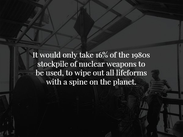 bomba gadget - It would only take 16% of the 1980s stockpile of nuclear weapons to be used, to wipe out all lifeforms with a spine on the planet.