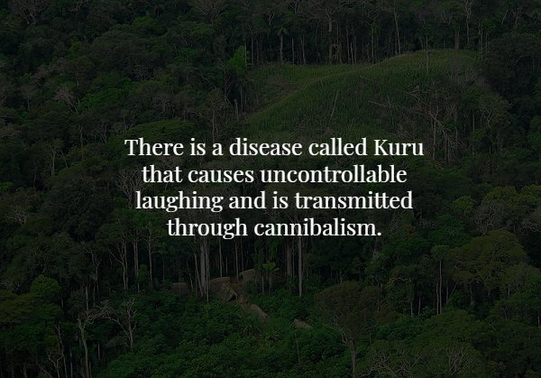 vegetation - There is a disease called Kuru that causes uncontrollable laughing and is transmitted through cannibalism.