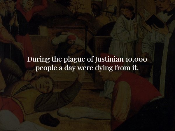 human behavior - During the plague of Justinian 10,000 people a day were dying from it.