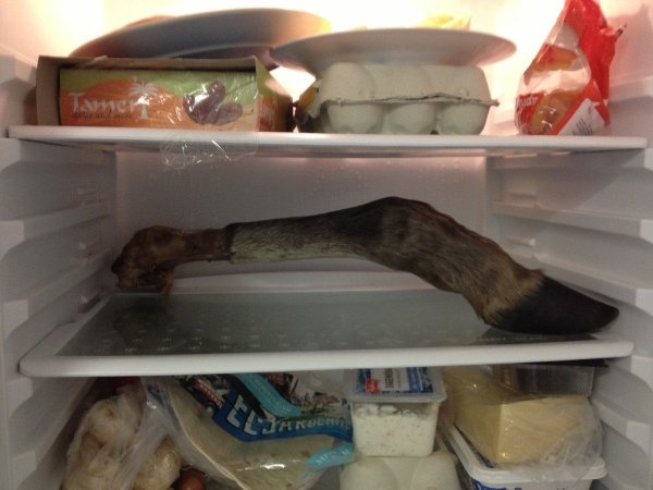This guy opened his fridge and found an animal leg.