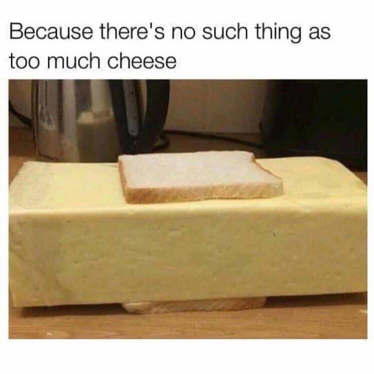 memes - there's no such thing as too much cheese - Because there's no such thing as too much cheese