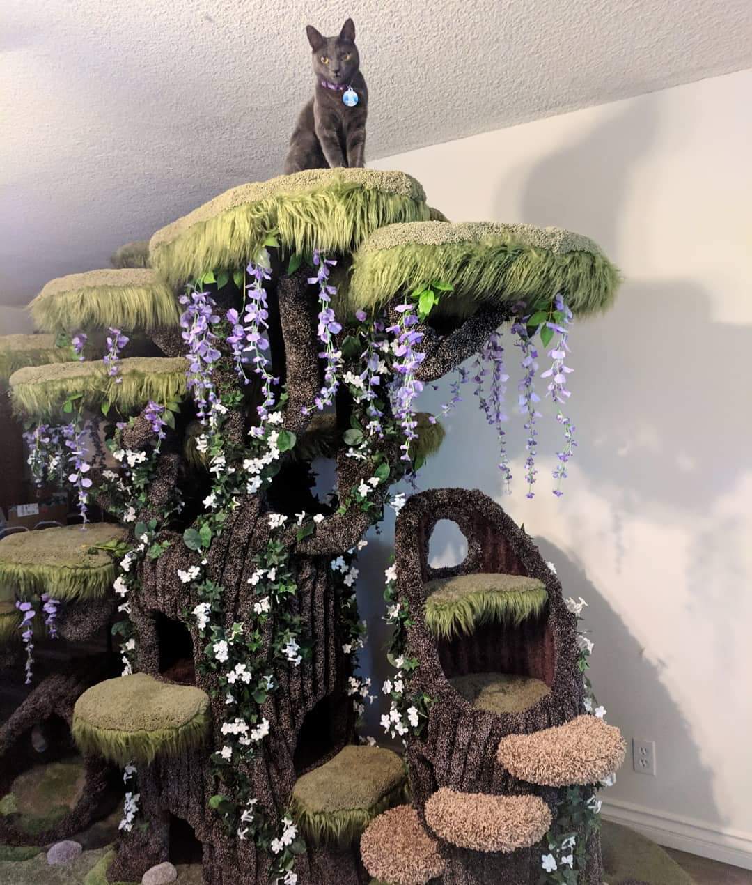 memes - enchanted forest cat tree
