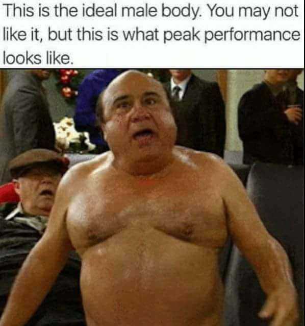 memes - danny devito memes - This is the ideal male body. You may not it, but this is what peak performance looks .