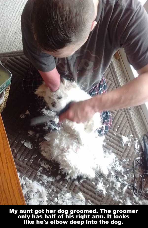 memes - elbow deep meme - My aunt got her dog groomed. The groomer only has half of his right arm. It looks he's elbow deep into the dog.