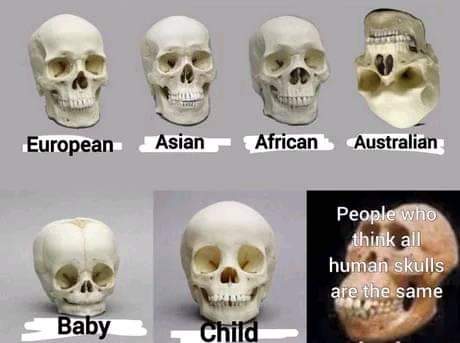 memes - all skulls the same - European Asian African Australian People who think all human skulls are the same Baby Child