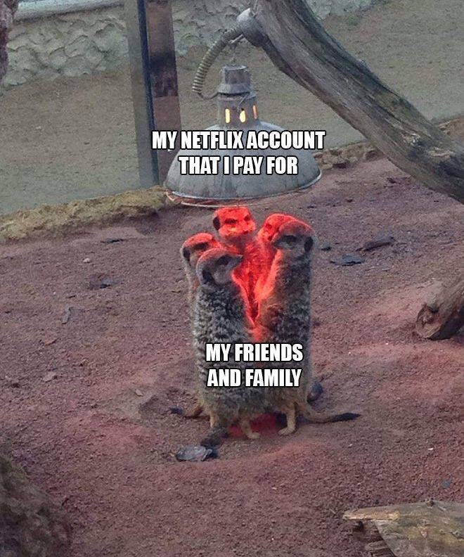 memes - netflix account memes - My Netflix Account That I Pay For My Friends And Family