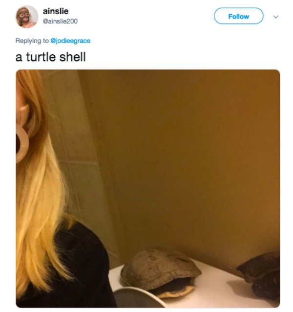 photo caption - ainslie a turtle shell