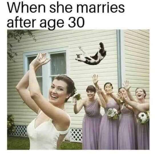 cat lady meme - When she marries after age 30