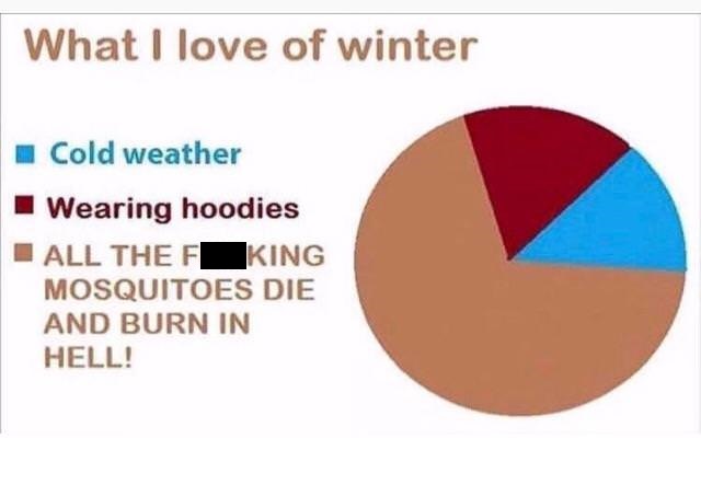 love winter - What I love of winter Cold weather Wearing hoodies All The F King Mosquitoes Die And Burn In Hell!
