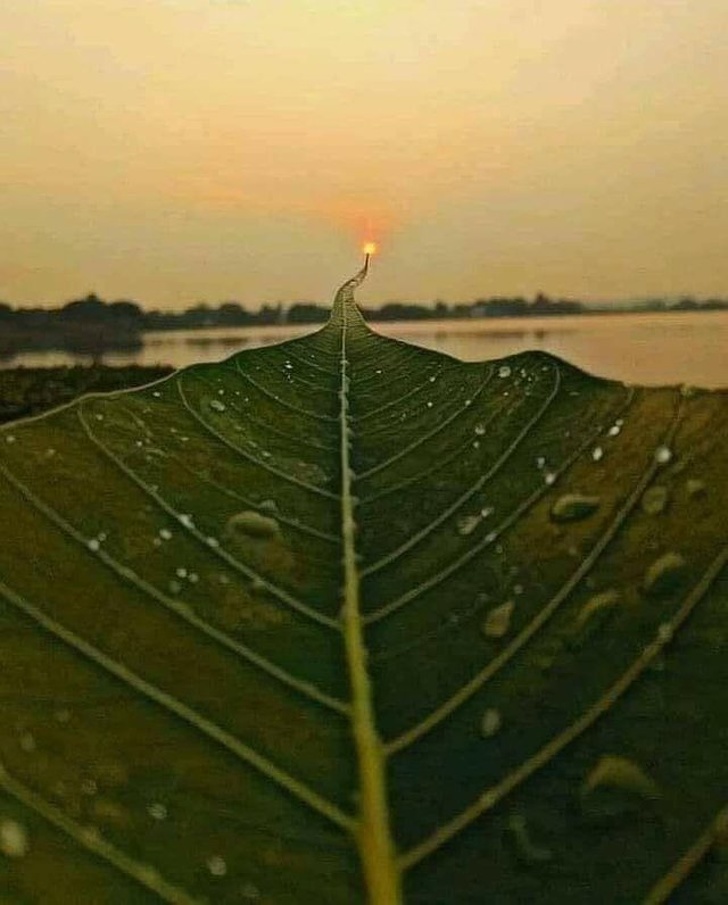perfect timing path to the sun
