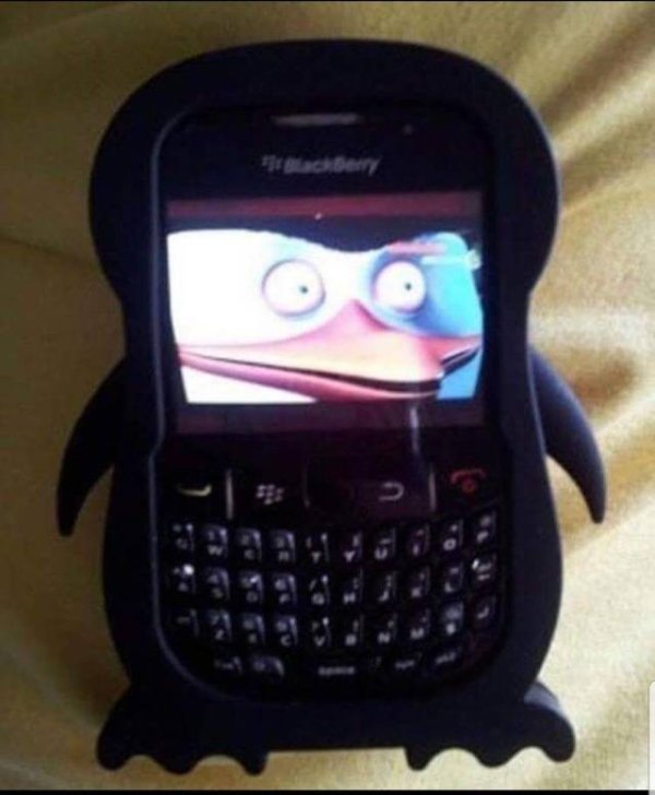 penguin of madagascar meme
