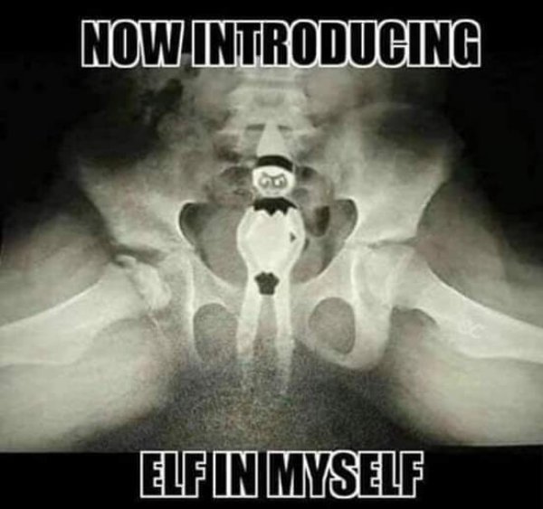 naughty elf in myself meme - Now Introducing Elf In Myself