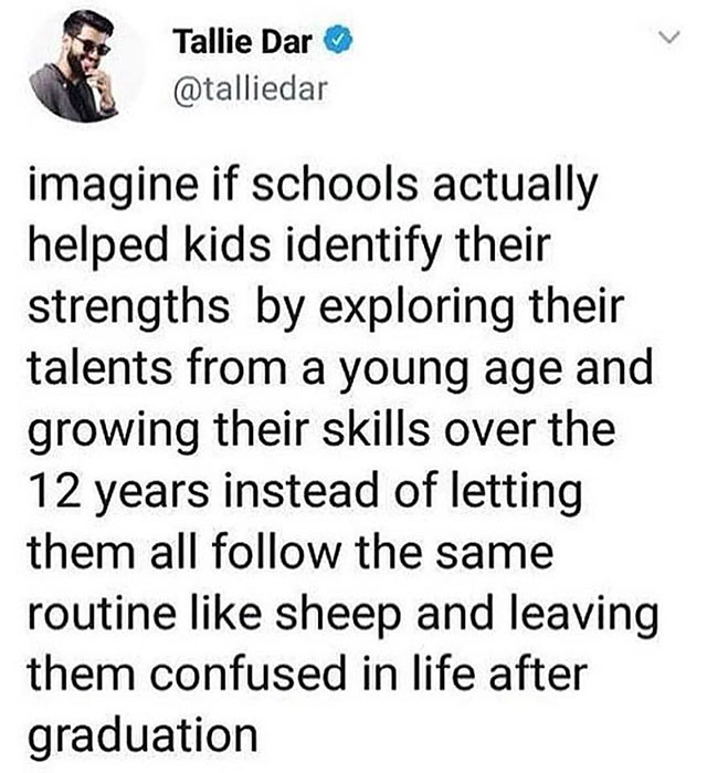 fact said imagine if schools actually helped students identify - Tallie Dar imagine if schools actually helped kids identify their strengths by exploring their talents from a young age and growing their skills over the 12 years instead of letting them all