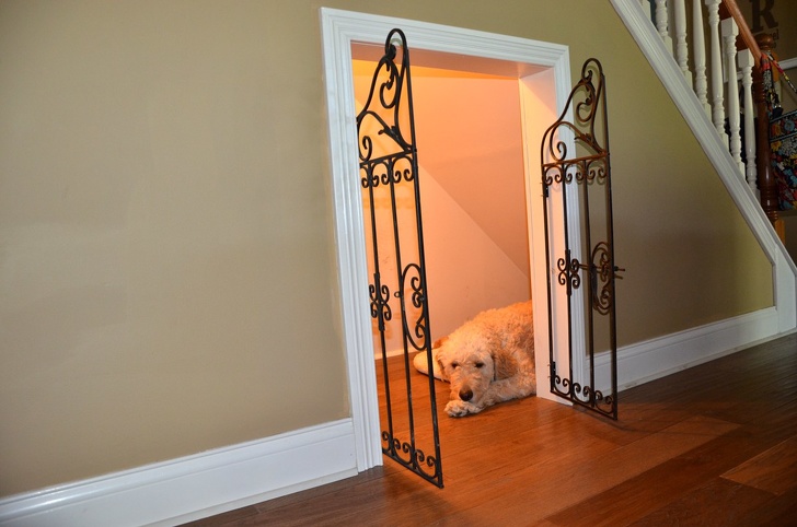 Maybe use the space under the stairs to create a special house for your furry friend.