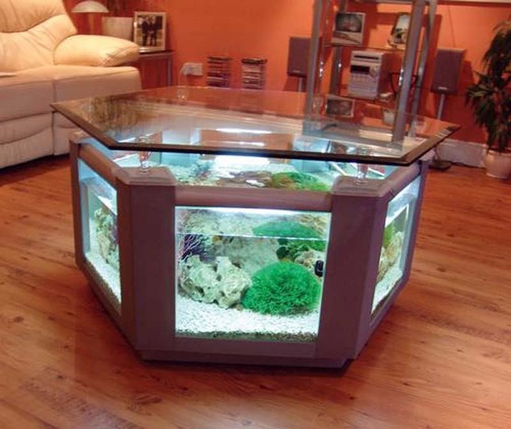 An aquarium coffee table gives an exotic touch to your living room.