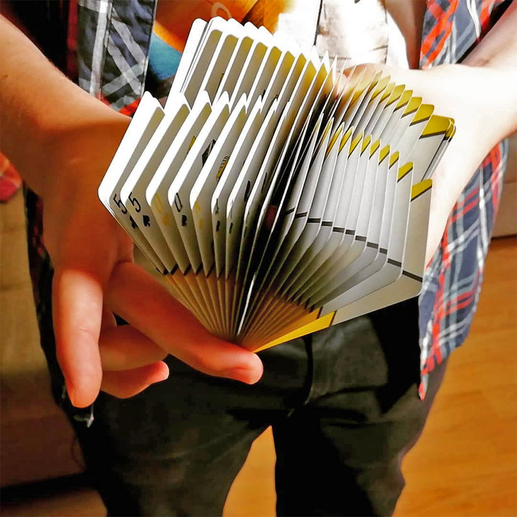 diatonic button accordion