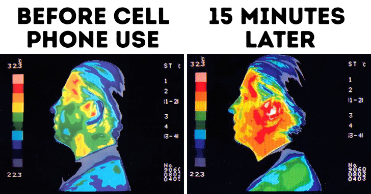 cell phone radiation 15 minutes - Before Cell Phone Use 15 Minutes Later 3215 St 323 Stc 1121 1341 34 09 22.3 Zavod 223 000