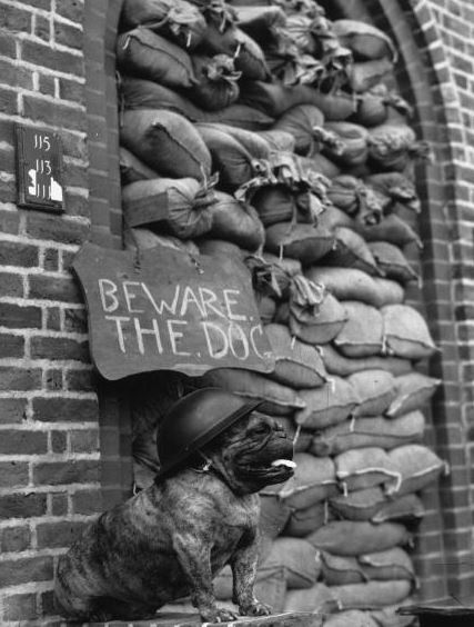 historical pic beware of dog wwii - Hhhhhh Beware The.Doc