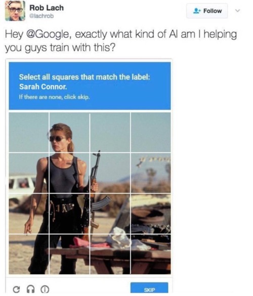 39 Awesome Pics and Memes To Get You Through The Day