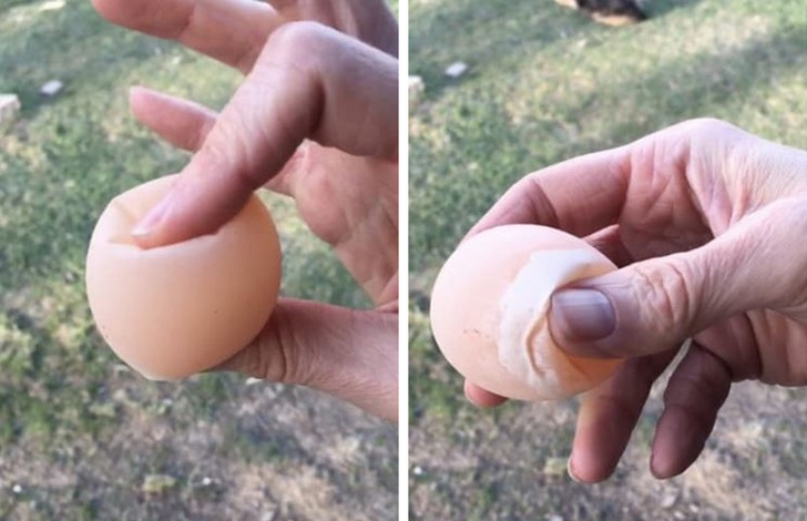 You can make a raw egg squishy just by soaking it in vinegar for 2 days.