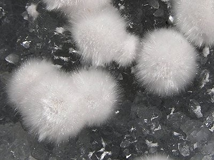 Okenites are minerals that form such fragile, bendable crystals, they look like fluffy cotton balls.