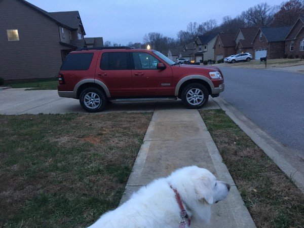The neighbor who parks like this.