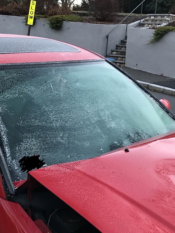 The still-frosted windshield of a car that rear-ended someone.