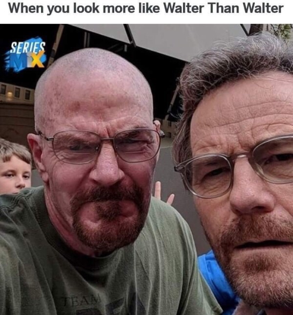 memes-  When you look more Walter Than Walter Series Mi