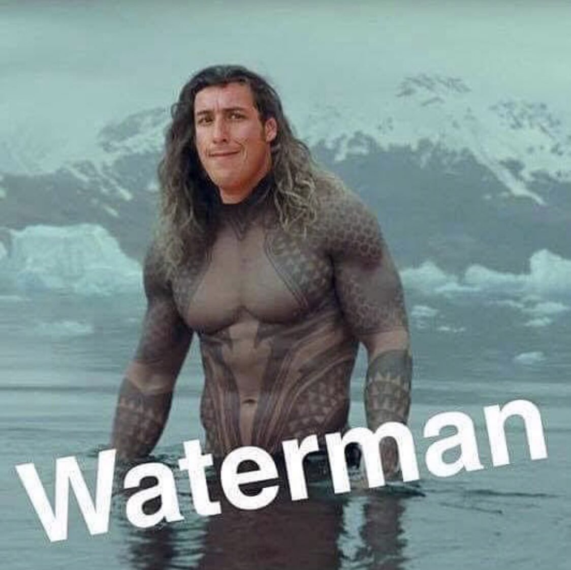 memes-  waterman aquaman meme - Waterman