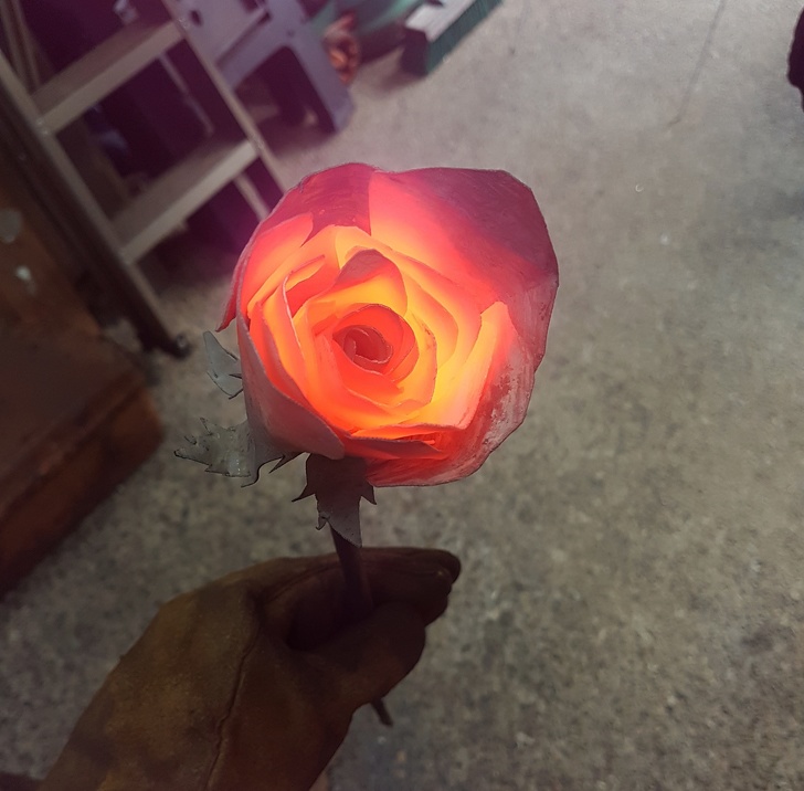 rose on fire in reddit