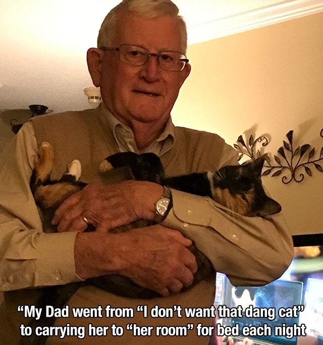 dad doesn t want cat meme - "My Dad went from "I don't want that dang cat to carrying her to "her room" for bed each night