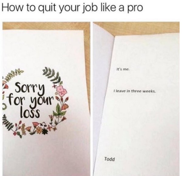 savage roasts - sorry for your loss meme quitting job - How to quit your job a pro It's me. Sorry I leave in three weeks for your loss Todd