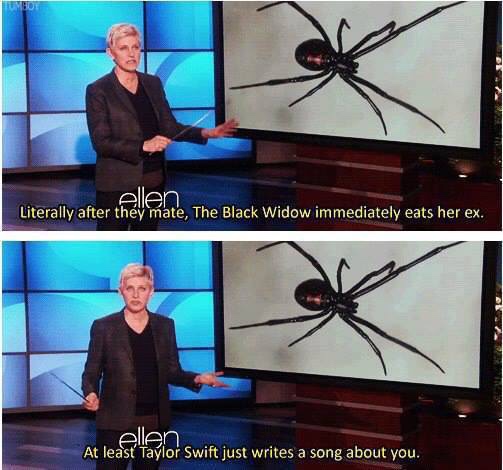 memes - black spider with red dot - ellen Literally after they mate, The Black Widow immediately eats her ex. ellen At least Taylor Swift just writes a song about you.