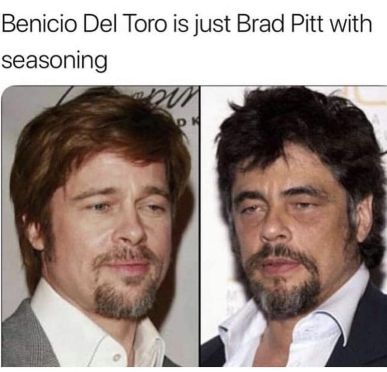 memes - benicio del toro brad pitt - Benicio Del Toro is just Brad Pitt with seasoning