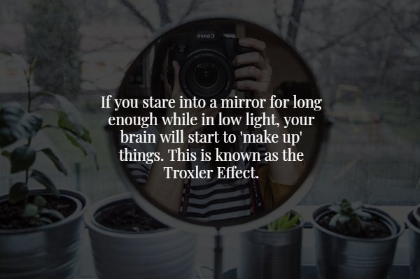 wtf facts - mirror selfie with canon - If you stare into a mirror for long enough while in low light, your brain will start to 'make up' things. This is known as the Troxler Effect.