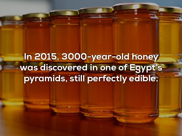 honey in bd - In 2015, 3000yearold honey was discovered in one of Egypt's pyramids, still perfectly edible.