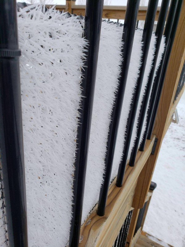 The way the frost formed on the screen around my deck.