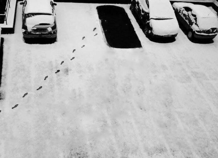 car traces snow