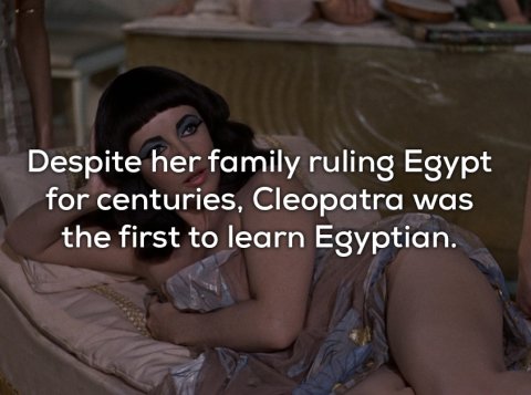 photo caption - Despite her family ruling Egypt for centuries, Cleopatra was the first to learn Egyptian.