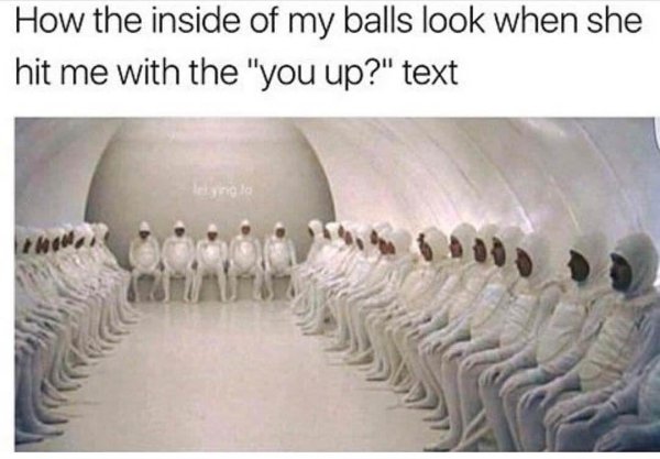memes - testicles meme - How the inside of my balls look when she hit me with the "you up?" text