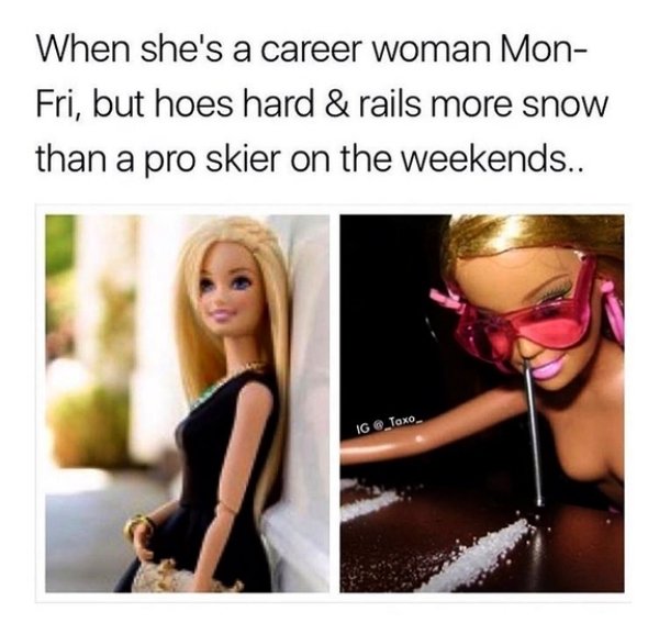 memes - career woman meme - When she's a career woman Mon Fri, but hoes hard & rails more snow than a pro skier on the weekends.. Ig
