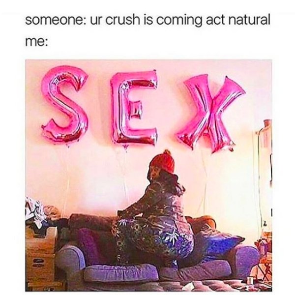 memes - album cover - someone ur crush is coming act natural me Sex Bo