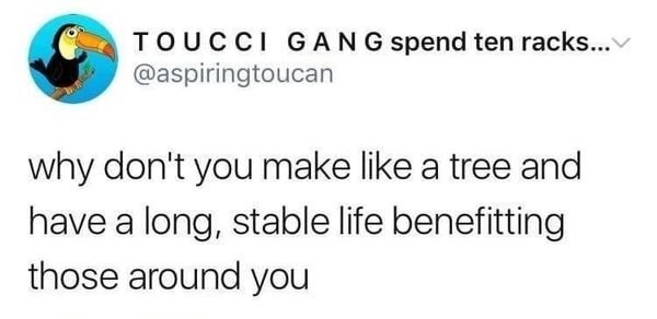 document - Toucci Gang spend ten racks... why don't you make a tree and have a long, stable life benefitting those around you